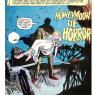 Honeymoon of Horror
