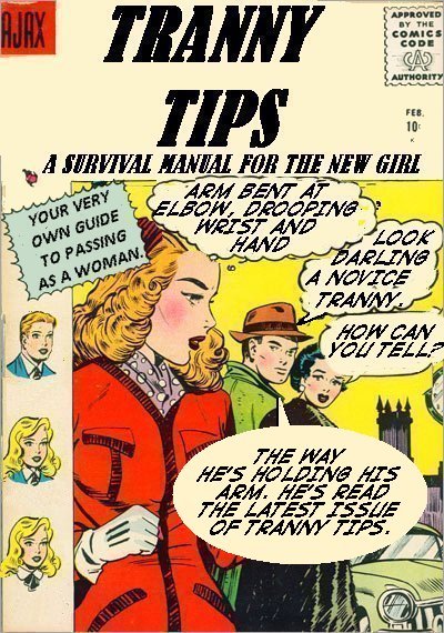 TRANNY TIPS B