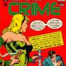 Body Crime 29