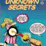 Unknown Secrets 43