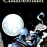 Catwoman 27B