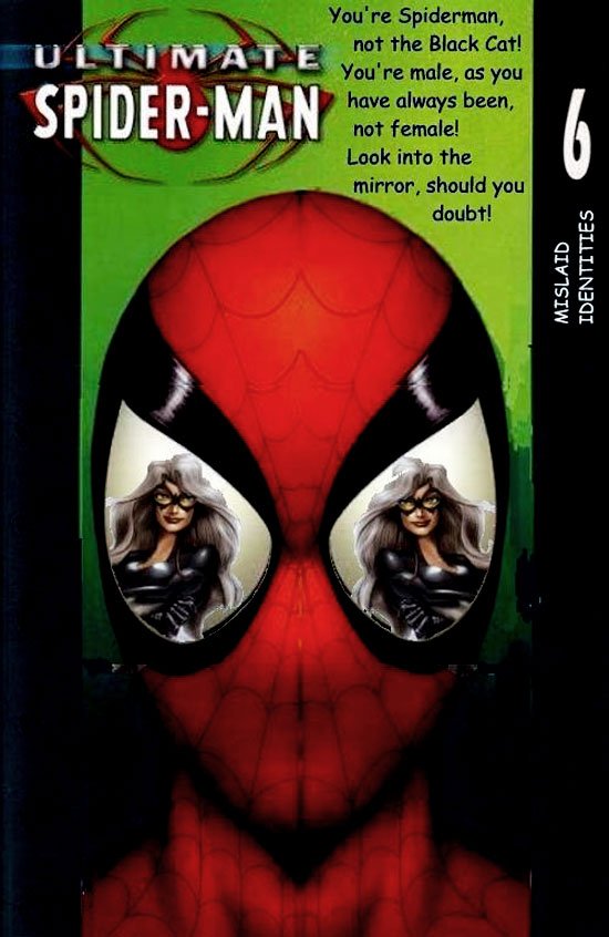 Ultimate Spiderman 6B