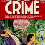 Body Crime No. 399