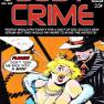 Body Crime No. 480