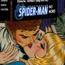 Spiderman No More 4