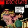 Witchcraft 218