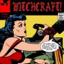 Witchcraft 231