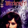 Witchcraft 304