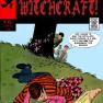 Witchcraft 172